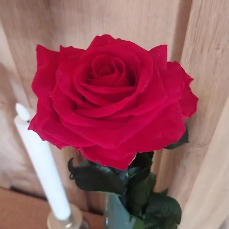 L'entre2rêves Saint-Maigrin